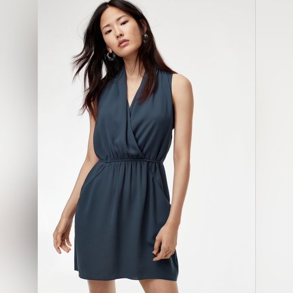 Aritzia Wilfred Sabine minidress